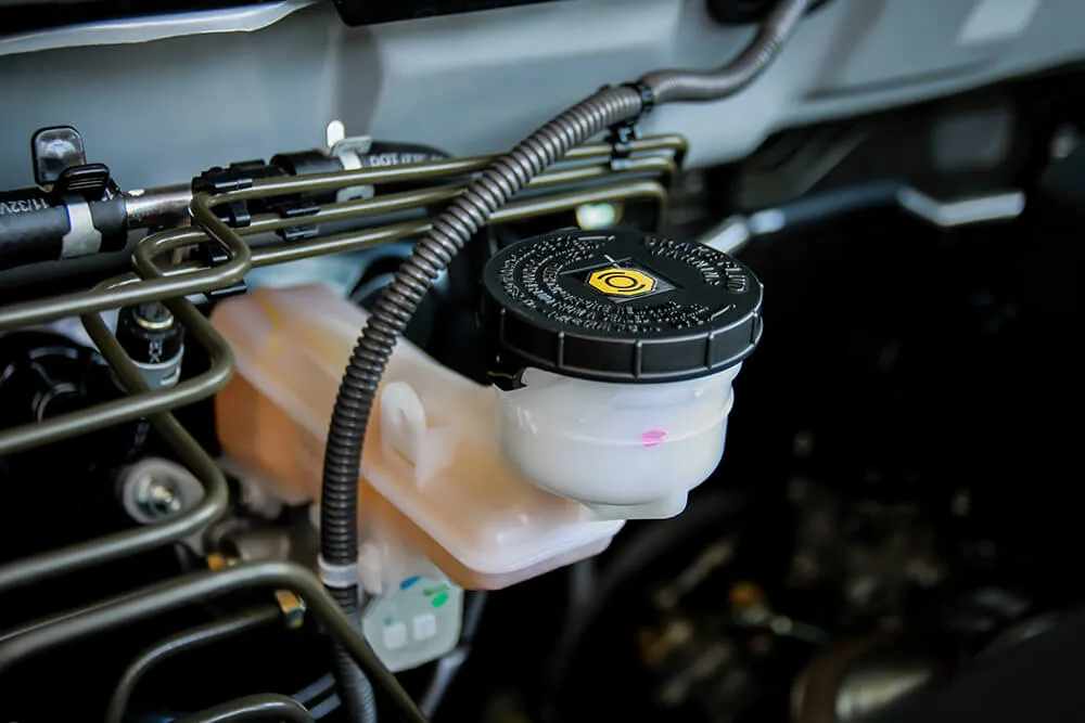 Auto Fluids & Filters: What You Need to Know